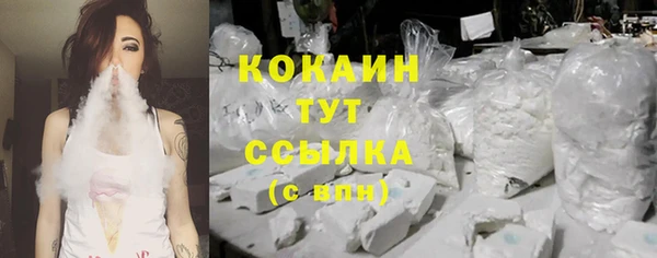 гидра Абаза