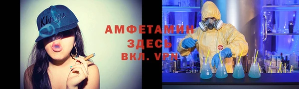 индика Алзамай