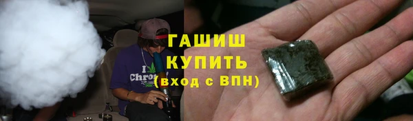 гидра Абаза