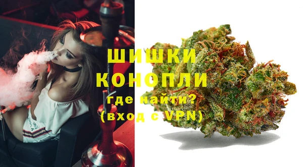 гидра Абаза