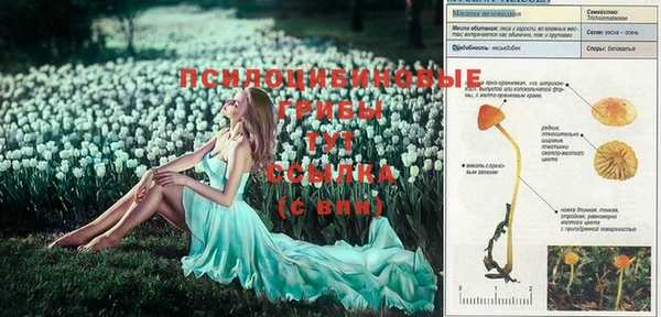 дживик Алексеевка