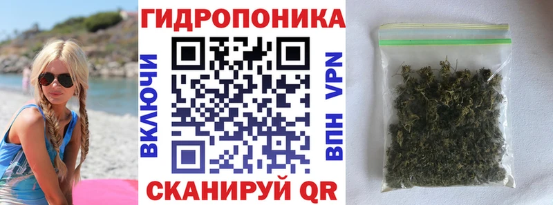 Бошки Шишки MAZAR  Западная Двина 